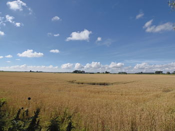 Scenic view of field against cloudy sky