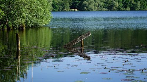 Scenic view of lake