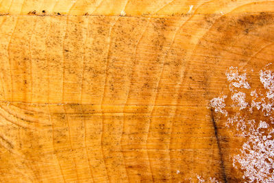 Full frame shot of weathered wood