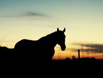 Silhouette horse on field against sky during sunset