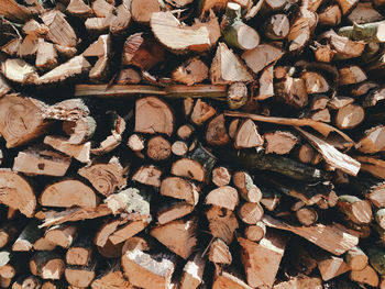 Full frame shot of logs in forest