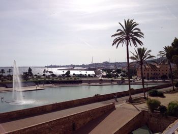 Palm trees by river against sky