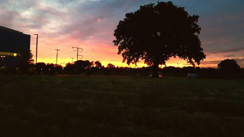 Silhouette trees on field against sky at sunset