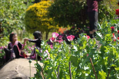 Flowers blooming against children in garden