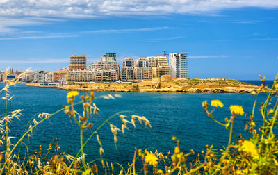 Sea and buildings in city against sky