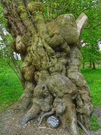 Close-up of old statue in park