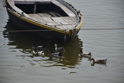 High angle view of ducks swimming on lake