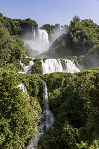 Scenic view of waterfall in forest