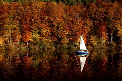 A sailboat and an autumn forest of red yellow green autumn colors are reflected in the lake surface