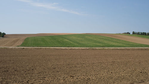 Scenic view of agricultural field against sky