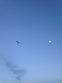 Low angle view of airplane flying against blue sky