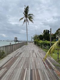 Empty footpath by palm trees against sky in city