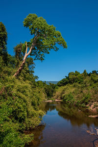 Scenic view of lake against clear blue sky