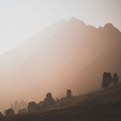 People walking on mountain