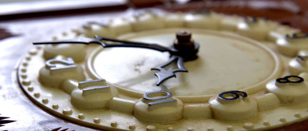 Close-up of dessert in plate