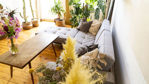 High angle view of potted plants on table at home