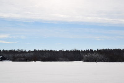 Trees on snow covered field against sky