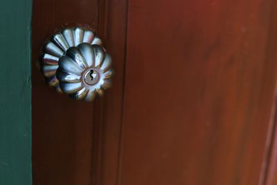 Close-up of shell on door