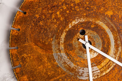 High angle view of coffee beans in container