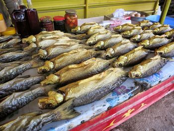 Close-up of fish on tray