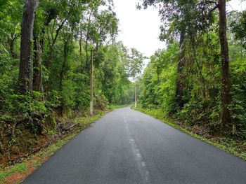 Road amidst trees in forest against sky