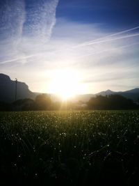 Scenic view of field against sky at sunset