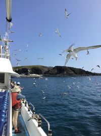 Seagulls flying over sea against sky