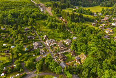 High angle view of trees and buildings