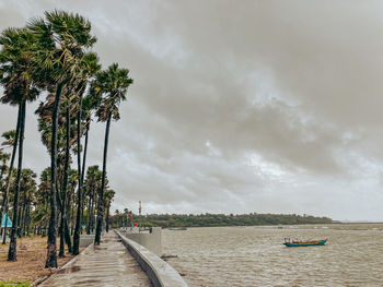 Scenic view of palm trees on beach against sky