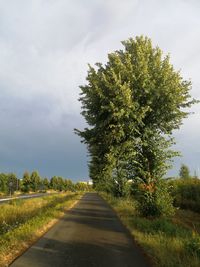 Empty road amidst trees on field against sky
