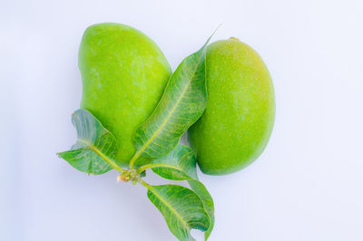 Close-up of green fruit against white background