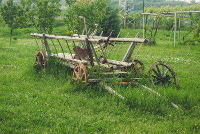 Abandoned cart in field