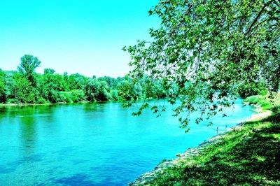 Scenic view of lake against clear blue sky