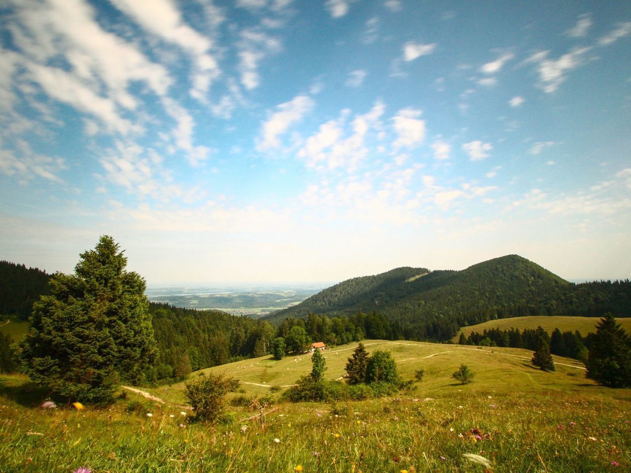 tranquil scene, tranquility, landscape, scenics, beauty in nature, sky, field, nature, grass, mountain, growth, tree, green color, non-urban scene, idyllic, cloud, cloud - sky, plant, rural scene, mountain range