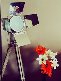Low angle view of red flowers