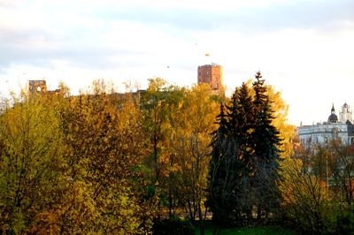 Trees and plants in city against sky