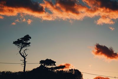 Low angle view of silhouette trees against sky during sunset