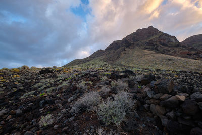 Canary islands, tenerife