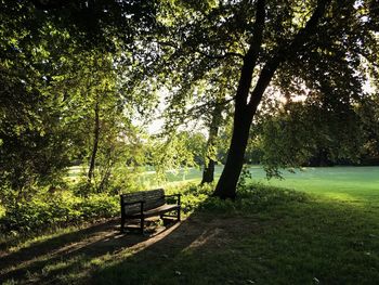 Empty bench in park