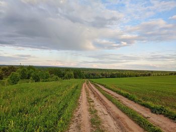 Scenic view of agricultural field against sky