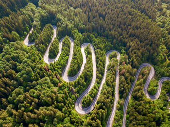 Winding road trough dense forest. aerial drone view, top down