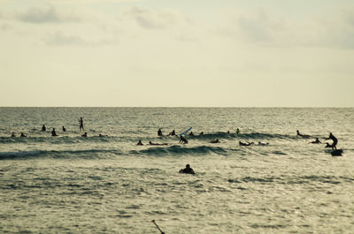 View of birds in sea against sky