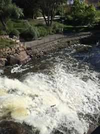 Scenic view of river flowing in forest