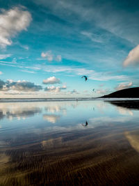 Birds flying over lake against sky