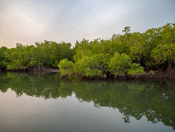 Scenic view of lake against sky