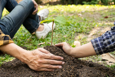 Low section of man holding plant