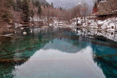 Reflection of trees in lake during winter