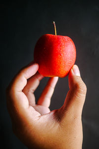 Close-up of hand holding apple