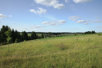 Scenic view of agricultural field against sky