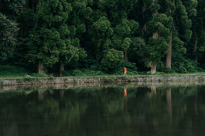 Scenic view of lake